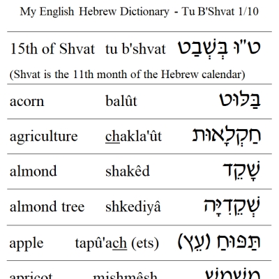 My English Hebrew Dictionary - Tu B'Shvat Vocabulary