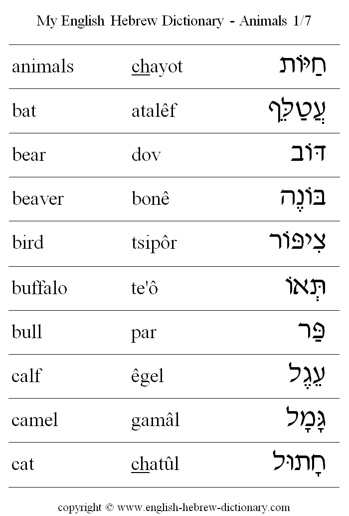 English to Hebrew -- Animals Vocabulary: bat, bear, beaver, bird, buffalo, bull, calf, camel, cat