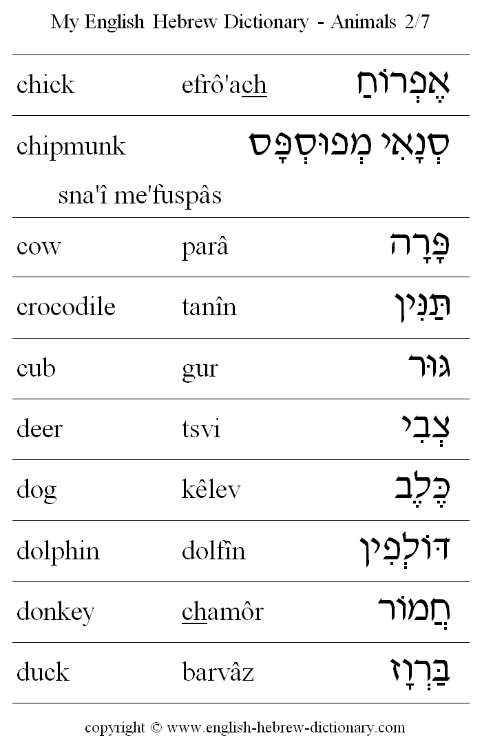 English to Hebrew -- Animals Vocabulary: chick, chipmunk, cow, crocodile, cub, deer, dog, dolphin, donkey, duck