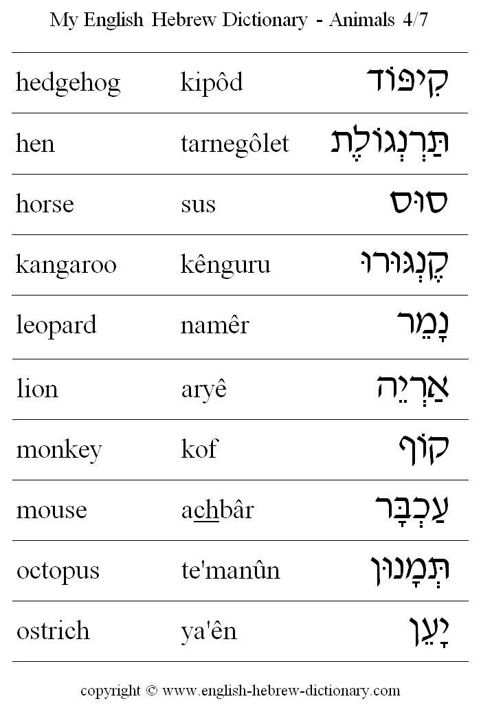 English to Hebrew -- Animals Vocabulary: hedgehog, hen, horse, kangaroo, leopard, lion, monkey, mouse, octopus, ostrich