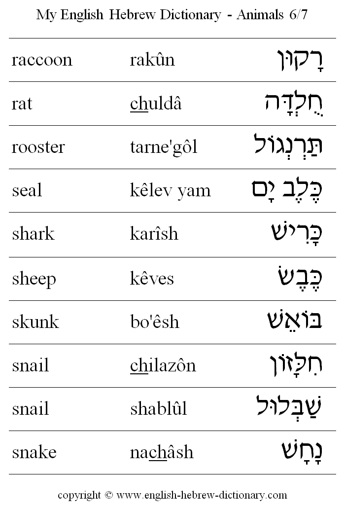 English to Hebrew -- Animals Vocabulary: raccoon, rat, rooster, seal, shark, sheep, skunk, snail, snake