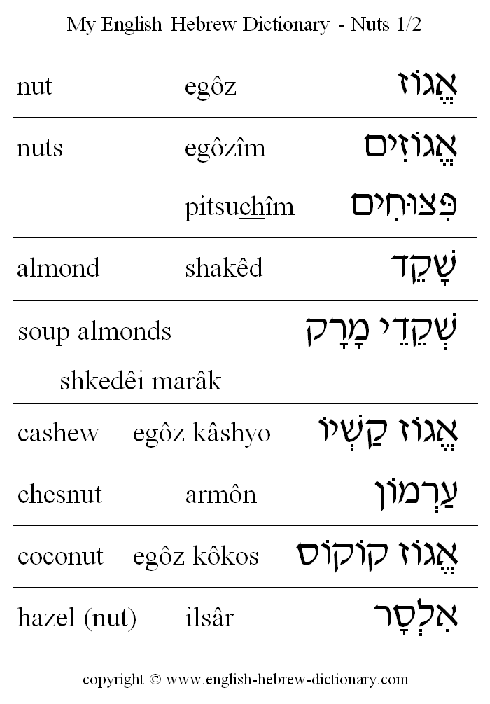 English to Hebrew -- Food - Nuts Vocabulary: nut, almond, soup almonds, cashew, chesnut, coconut, hazel nut, peanut, peanuts