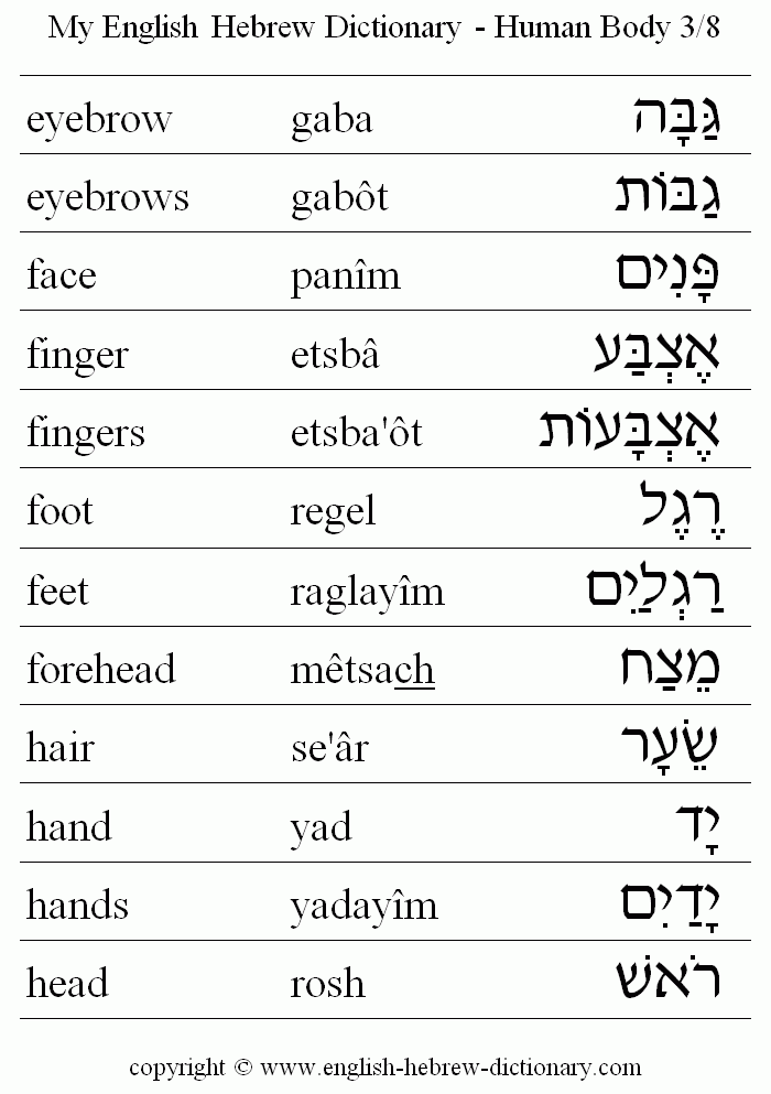 English to Hebrew -- Human Body Vocabulary: eyebrow, eyebrows, face, finger, fingers, foot, feet, forehead, hair, hand, hands, head
