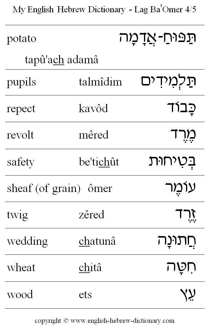 English to Hebrew -- Lag Ba'Omer Vocabulary: potato, pupils, respect, revolt, safety, sheaf of grain, twig, wedding, wheat, wood
