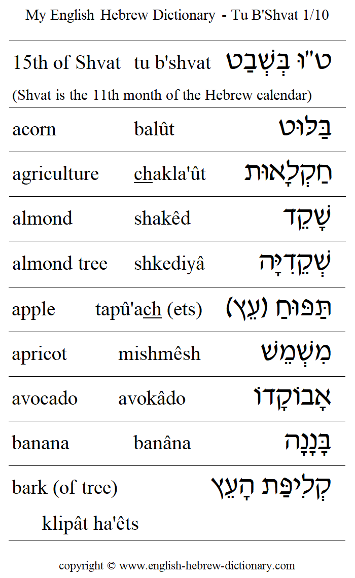 English to Hebrew -- Tu B'Shvat Vocabulary: acorn, agriculture, almond, almond tree, apple, apricot, avocado, banana, bark (of tree)