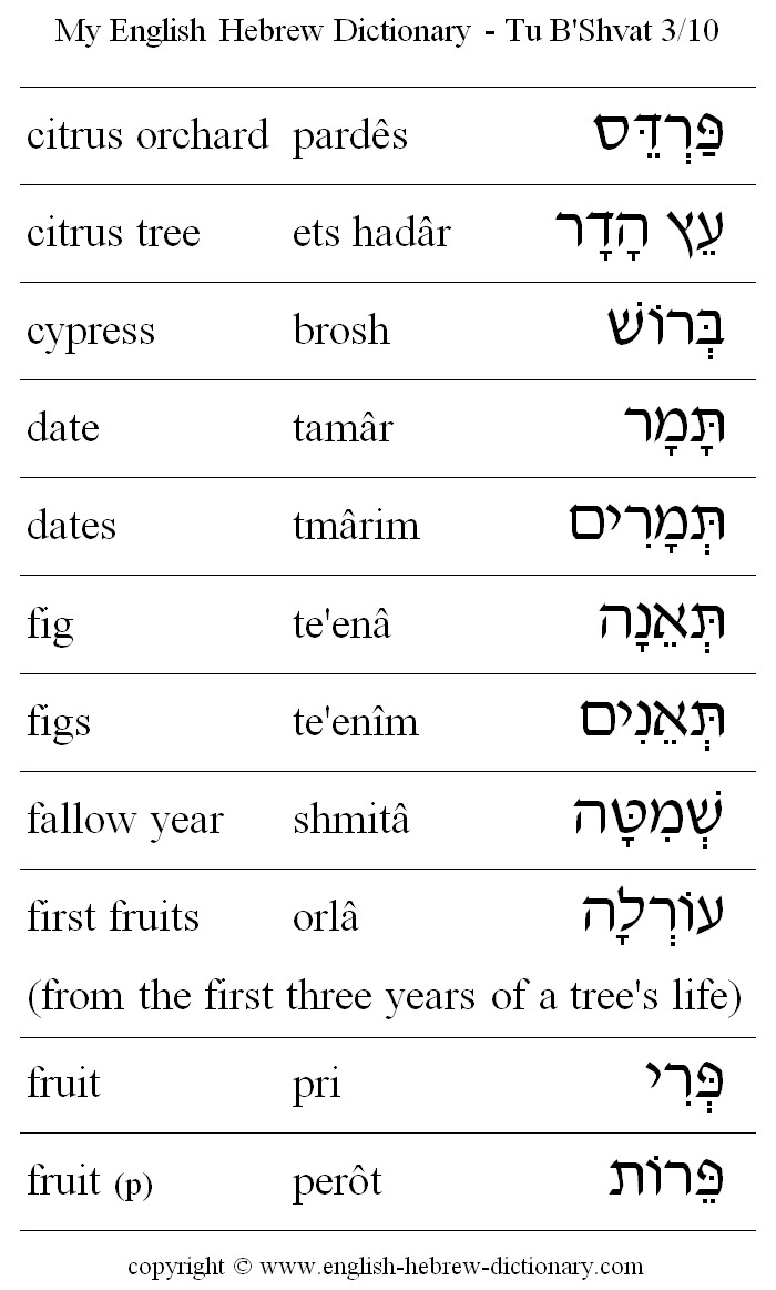 English to Hebrew -- Tu B'Shvat Vocabulary: citrus orchard, citrus tree, cypress, date, dates, fig, figs, fallow year, first fruits, fryit