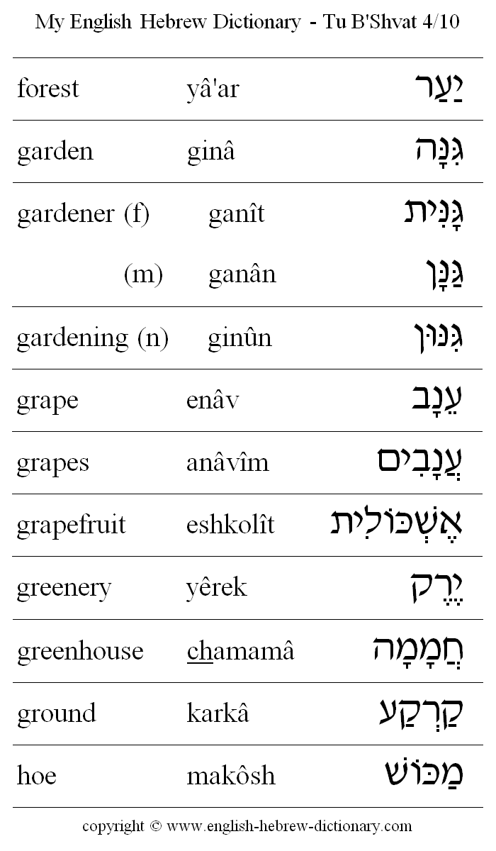 English to Hebrew -- Tu B'Shvat Vocabulary: forest, garden, gardner, gardening, grape, grapes, grapefruit, greenery, greenhouse, ground, hoe