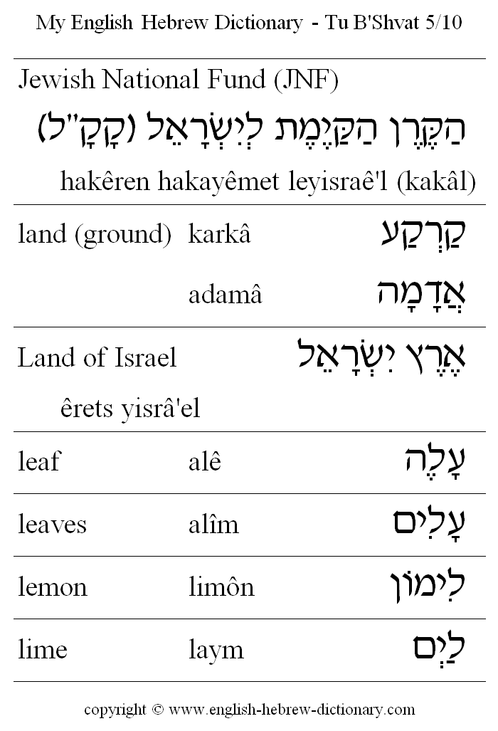 English to Hebrew -- Tu B'Shvat Vocabulary: Jewish National Fund (JNF), land, Land of Israel, leaf, leaves, lempn, lime