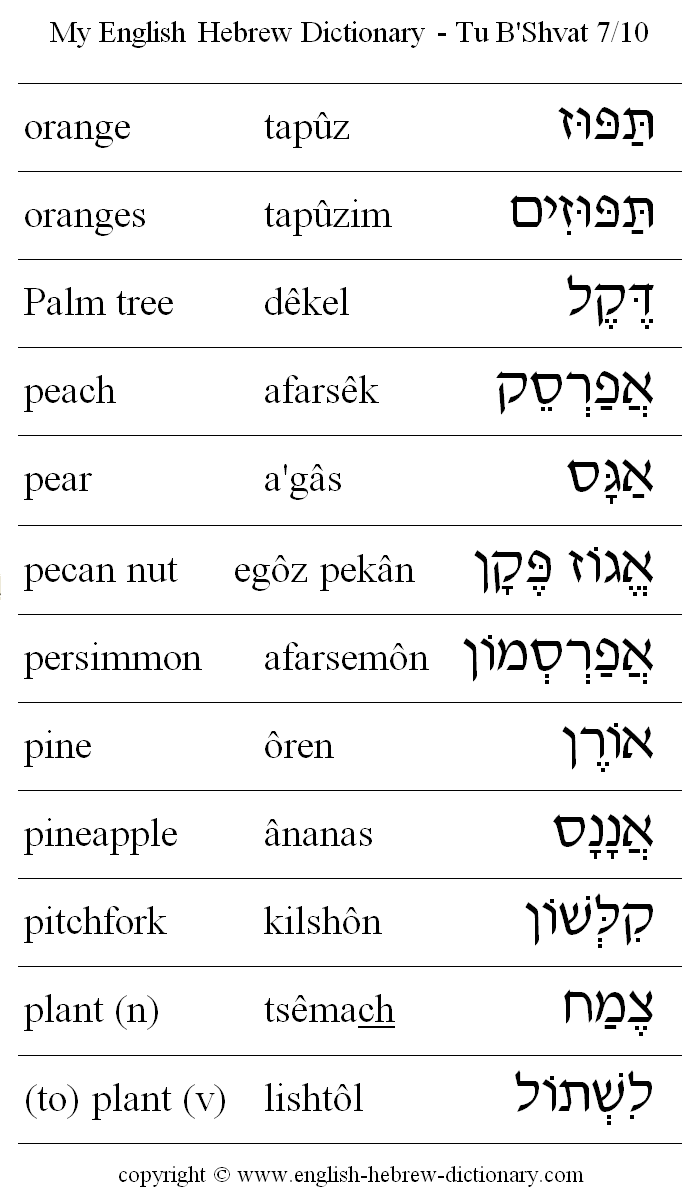 English to Hebrew -- Tu B'Shvat Vocabulary: orange, oranges, Palm tree, peach, pear, pecan nut, persimmon, pine, pineapple, pitchfork, plant, to plant