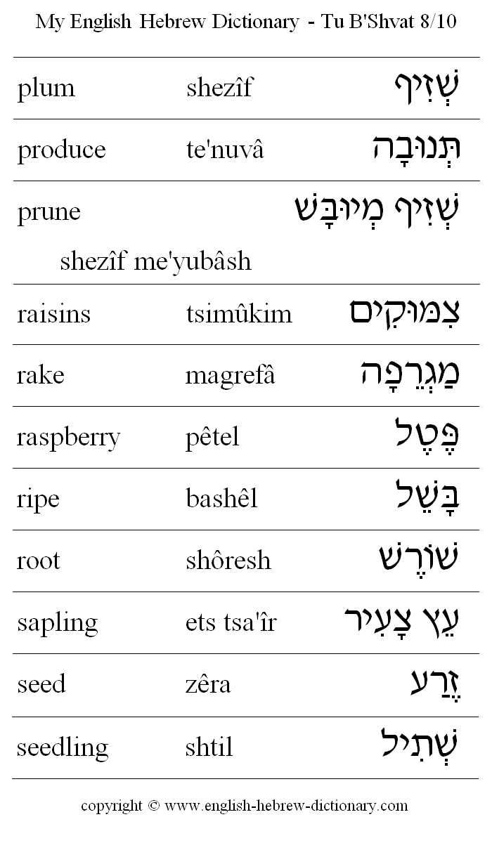 English to Hebrew -- Tu B'Shvat Vocabulary: plum, produce, prune, raisins, rake, raspberry, ripe, root, sapling, seed, seedling